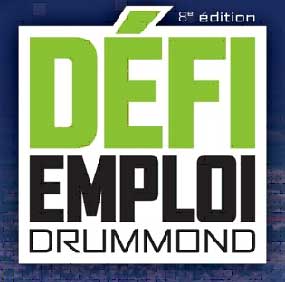 Logo defi emploi